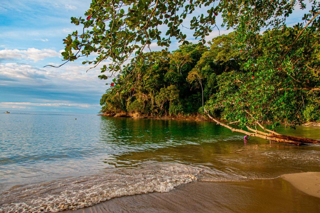 Bambutel Cocles Hotel Puerto Viejo de Talamanca Ngoại thất bức ảnh